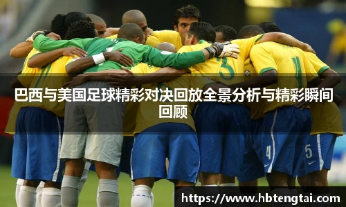 3377体育官网下载